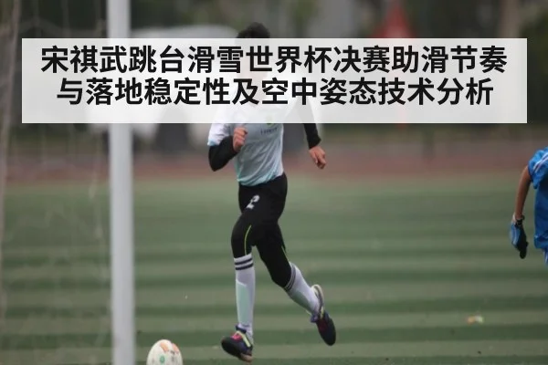 宋祺武跳台滑雪世界杯决赛助滑节奏与落地稳定性及空中姿态技术分析